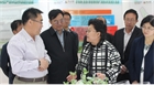 市委副書記、代市長艾麗華來我公司考察、調(diào)研